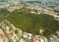 El bosque Colomos en Guadalajara. Foto: Luis Díaz Reynoso. Tomada de la revista Ciencia.