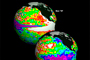 Anomalías en el nivel del mar por efectos de El Niño (arriba) y La Niña.