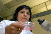 Rocío Tapia Pastrana , investigadora del CINVESTAV, fue galardonada con el Premio Weizmann 2009 en el área de Ciencias Naturales.