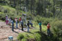 Aspectos de los talleres y actividades al aire libre.