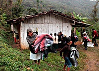 Si uno compara las características físicas la población en la Sierra de Zongolica, se puede notar que son muy parecidas a los rasgos físicos de los mazatecos del norte de Oaxaca, explicó el doctor Carlos Serrano.