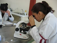 Durante la Olimpiada los concursantes realizan diversas pruebas de laboratorio.