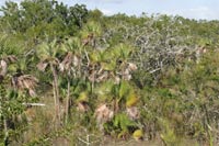 El área se caracteriza por su diversidad ecológica, que incluye humedales, sabanas, y fragmentos de selvas medianas y bajas. 