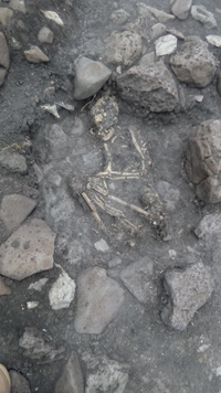 En la imagen un entierro estudiado como parte de los proyectos de salvamento arqueológico en Irapuato durante el año 2016.