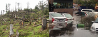 La deforestación favorece el escurrimiento de las aguas de lluvia hacia las partes bajas de las ciudades.Imagen de Copilco, en la delegación Coyoacán, una de las zonas más afectadas en el sur de la Ciudad de México tras la lluvia torrencial que se registró el pasado 29 de mayo.