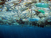 Cada año ocho millones de toneladas de plásticos terminan en mares y océanos, incorporándose a las cinco islas de basura identificadas en los océanos Pacífico, Atlántico e Índico.