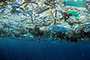 Cada año ocho millones de toneladas de plásticos terminan en mares y océanos, incorporándose a las cinco islas de basura identificadas en los océanos Pacífico, Atlántico e Índico.