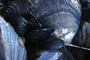 La capacidad que tiene el mejillón del género Mytilus sp. para acumular contaminantes en sus tejidos, hace que este molusco sea un indicador de la contaminación por metales pesados y pesticidas en el medio marino.