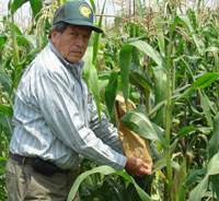 Joaquín Ortiz Cereceres, coordinador de la Sección de Agrociencias de la AMC e investigador del Colegio de Postgraduados (Colpos).