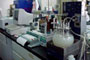 Investigadores del Ceprobi del IPN crearon un procedimiento que genera bebidas energéticas que mantienen una mayor vida de anaquel basados en Aloe vera.